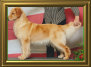 shilo_website001008.jpg