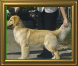 shilo_website001009.jpg