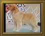 shilo_website001011.jpg