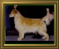 shilo_website001014.jpg