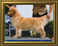 shilo_website001016.jpg