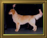 shilo_website001017.jpg
