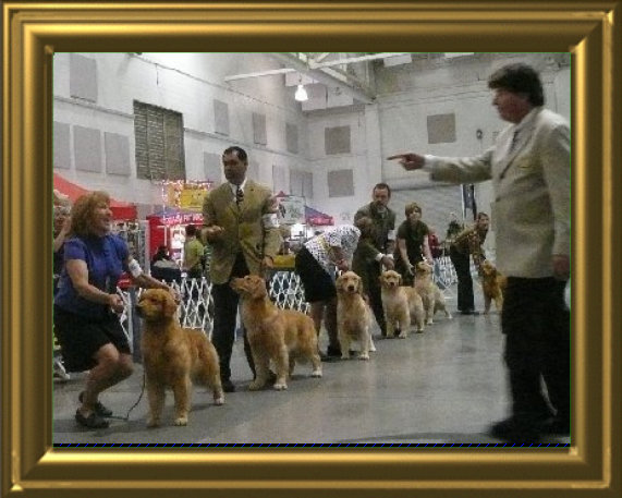 shilo_website008001.jpg