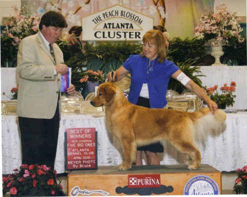 shilo_website008002.jpg