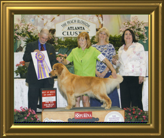 shilo_website008003.jpg