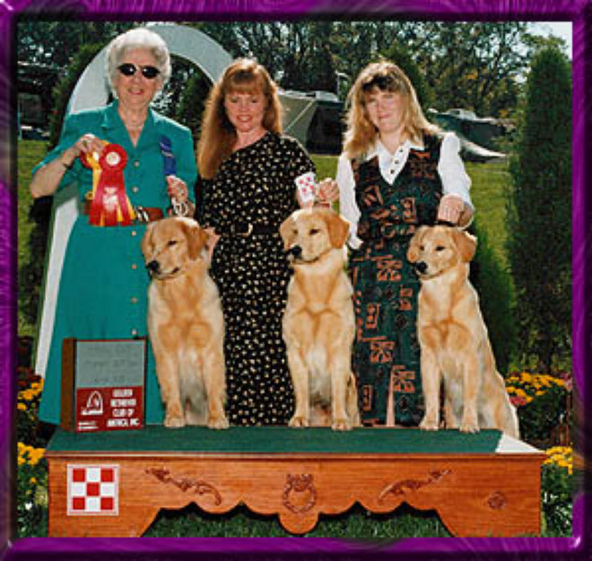 shilo_website015006.jpg