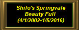 shilo_website007010.jpg