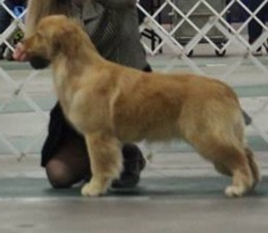 shilo_website024001.jpg