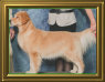 shilo_website_041125001005.jpg