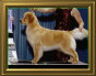 shilo_website_041125001015.jpg