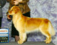 shilo_website_041125001021.jpg