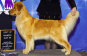 shilo_website_041125001022.jpg