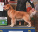 shilo_website_041125001023.jpg